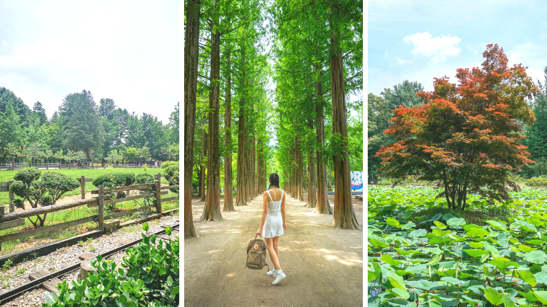 How to visit Nami Island From Seoul